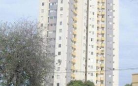 Apartamento compartilhado comigo mais 2 felinos